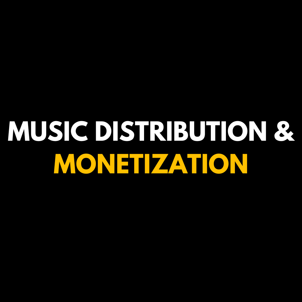 Music Distribution, Monetization & Royalties Consultation