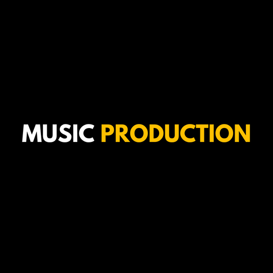 Music Production Consultation