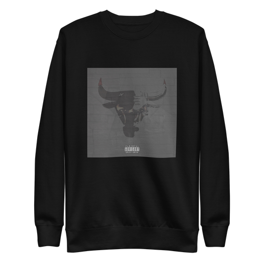 CHICAGO BULL Sweatshirt